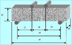 Figura 12