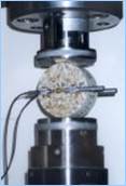 Figura 6
